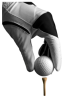 A close-up of a golf ball on a tee

Description automatically generated