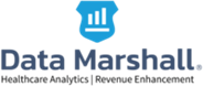 Data Marshall Logo